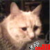 Deb K (@mommom2dj) Twitter profile photo Deb K (@mommom2dj) Twitter profile photo