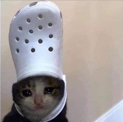 Wamichongo_'s profile picture. 