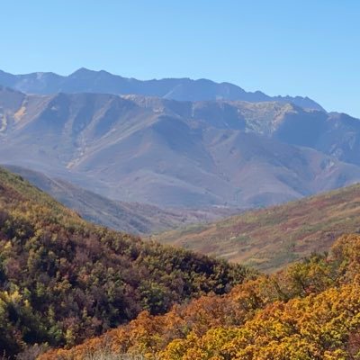 UTPatSquatch's profile picture. 