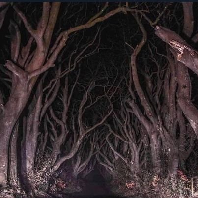 iiFrnas's profile picture. 