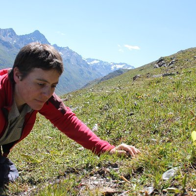 Research Scientist @SLFDavos and @WSL_research. Studying #forest_ ecology #mountain_forests #tundra_ecosystems #recruitment #treeline #climate_change #drought