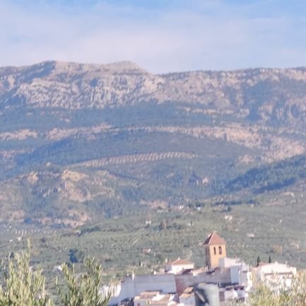 Dario_m04_qsd's profile picture. Cuenta Personal