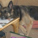 kim jackman - @likklemouse - Twitter