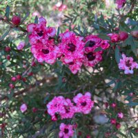 Frances Daily (@frances__daily) 's Twitter Profile