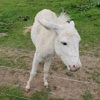 ten_cryption's profile picture. 