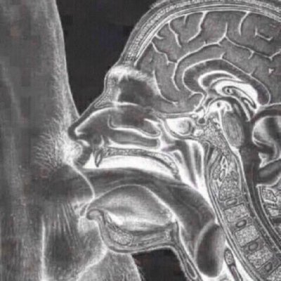 Perthboy3's profile picture. btm guy here
keen on fun