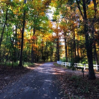 thinkfo37895307's profile picture. I enjoy critically thinking ... I’d like to hope that doesn’t make me special. 🤷‍♀️