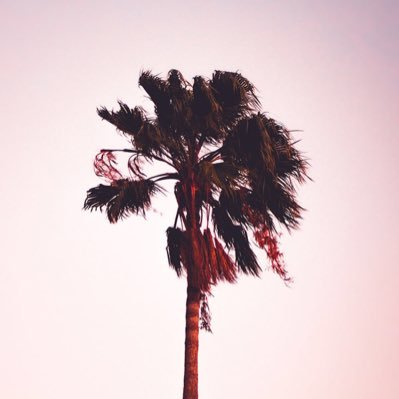 Bardiabad's profile picture. یه هیچِ بزرگ!