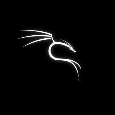 RKalilinux's profile picture. ☠️ u are done! ☠️