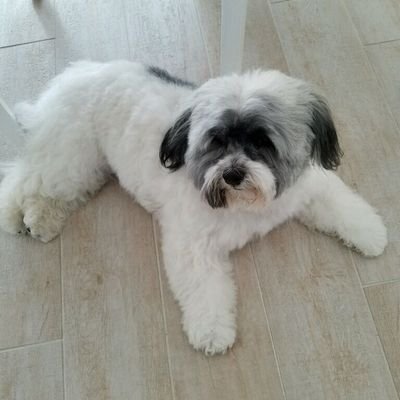 GrouperFla's profile picture. 