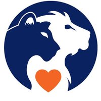 Lionheart Foundation (@lionheartfdn) Twitter profile photo