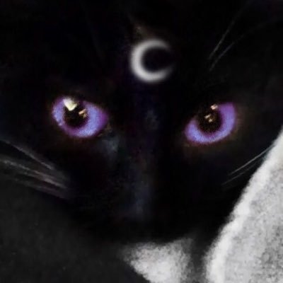 Vさんのプロフィール画像