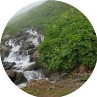 حياكم🌹(ابواروى الوهابي) (@vbvbvbvb503) 's Twitter Profile Photo حياكم🌹(ابواروى الوهابي) (@vbvbvbvb503) 's Twitter Profile Photo