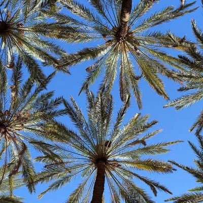 sisters_farm's profile picture. 