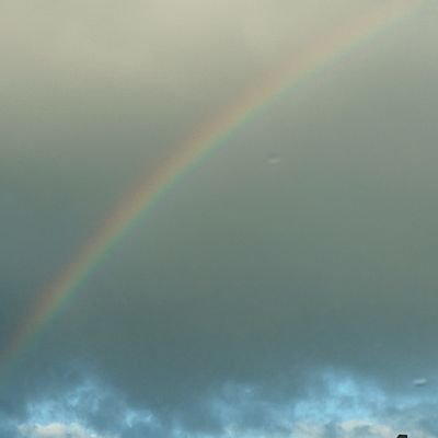 VAoyHGQRKRKXjyh's profile picture. 