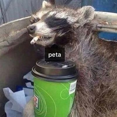 _BREAKLOOSE_'s profile picture. 
