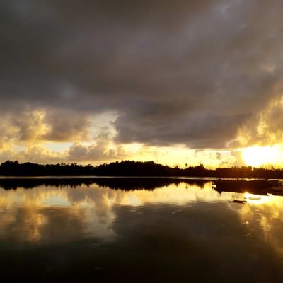 Danny6054's profile picture. 