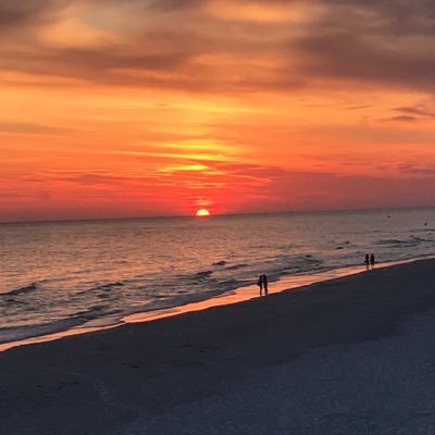 SevereweatherWX's profile picture. Bay County FL Weather Enthusiast | Future Meteorologist | severeweatherwxenthusiast