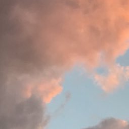 kaennomai's profile picture. mourning the az coyotes || van canucks & mtl victoire