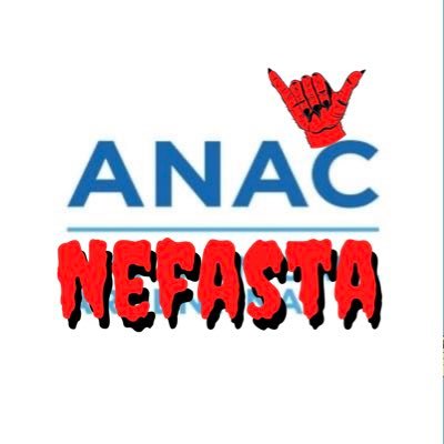 Denunciante oficial de ANAC! Si sos una empresa aérea, un usuario o una Escuela de Vuelo envíanos tu denuncia por mensaje directo📩