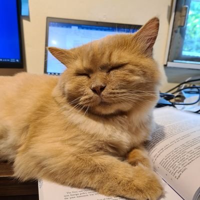 sharon seah  Profile