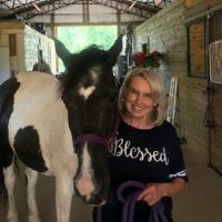 Judy Givens - @JudyGivens3 Twitter Profile Photo