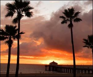 ElaineCookson's profile picture. 