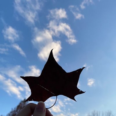 xie_qianqian's profile picture. 