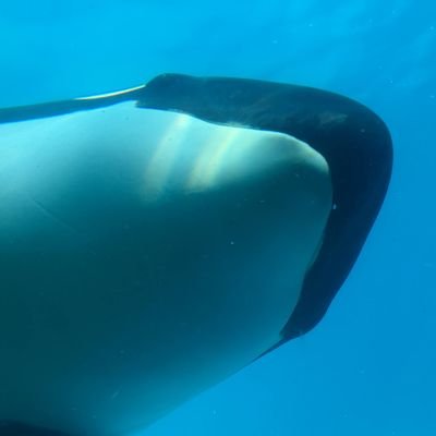 あかりさんのプロフィール画像