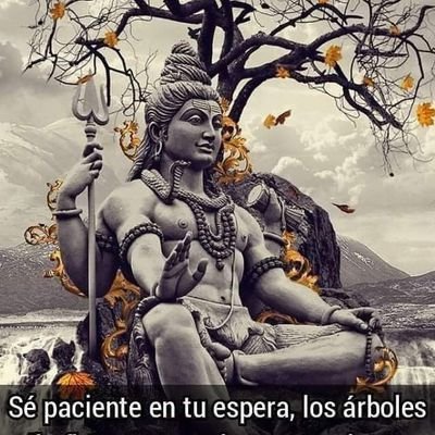 pekecpac's profile picture. 