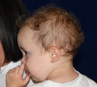 flavland's profile picture. 