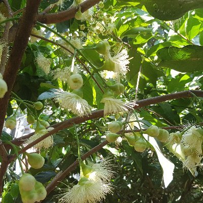 Naryant04's profile picture. Educator