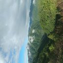 Amit Negi - @AmitNeg10191552 - Twitter