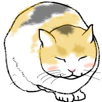 スナネコきどり (@momo48812229) 's Twitter Profile