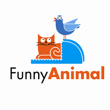 UdeshPerera8's profile picture. I,m a youtuber