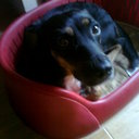 Paul Schembri - @PAHKS89 - Twitter