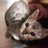 Grace47356271's profile image