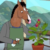 NOT BJÖRK (@djdelve) 's Twitter Profile