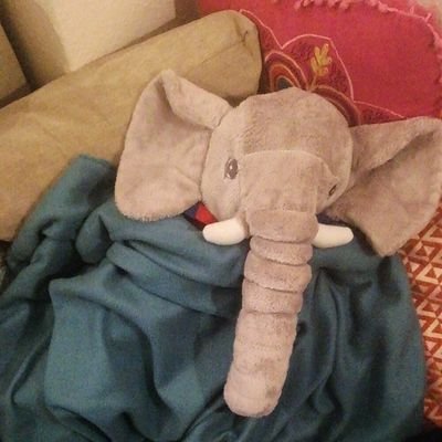 Whitstablebae's profile picture. Shit my mum says // acnh