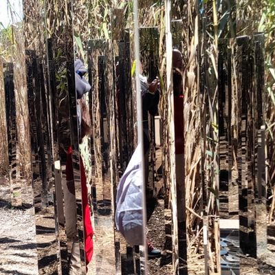 FrancisBordes's profile picture. Moi