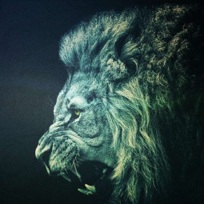 parivrajak's profile picture. RTs/Likes are not endorsement.