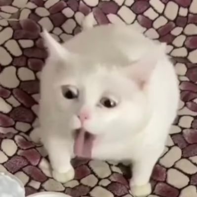 Moon4ne's profile picture. @tyrolrr 🎧