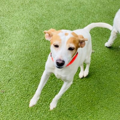 atlantapropert2's profile picture. 