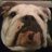 mavrick674's profile image