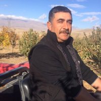 Yalnız Kurt (@aliosmangn5) Twitter profile photo