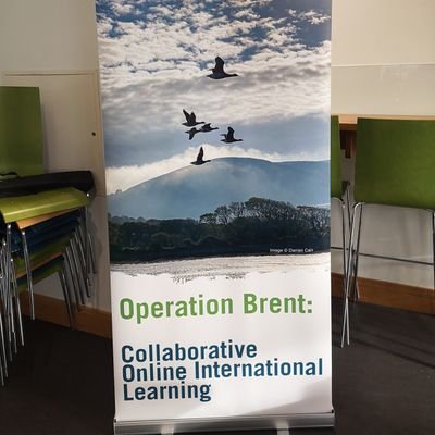 Collaborative Online International Learning and Sustainability - all views expressed are our own.