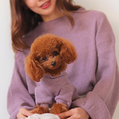 犬服ペアルックブランド『toutoucoco-トゥトゥココ』の広報🙋‍♀️ | 洋服を通じてかけがえのない体験を |わんことおそろいで着たくなる洋服を手作り中 | メンバー全員が無類のわんこ好き | 新作や商品の情報が知れる公式サイトはこちら▶https://t.co/vIbiTKFgPFです🐾