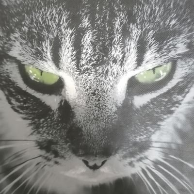 kRg3atdzur3yLgq's profile picture. クラシックのオーケストラ・鉄道とSKE48の劇場公演が好物。