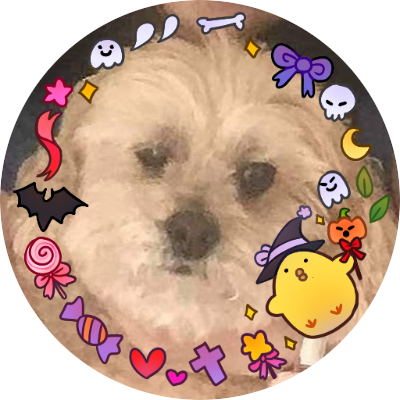 D_Tofu's profile picture. Summary: 

I'm too old for this shit.
But you're only 25 years old.
Yea. I know and I'm too old for this shit.

I need more sleep.