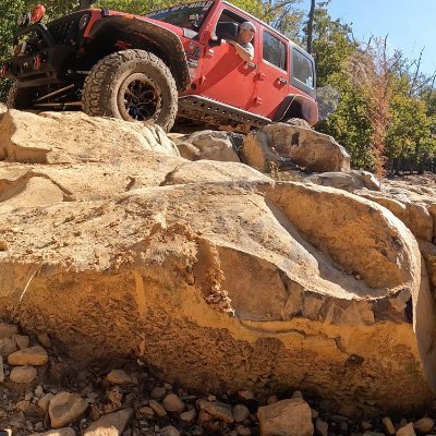 NoLimitsJKU's profile picture. Entrepreneur. Sober AF.